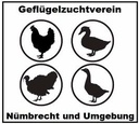 Vereinsinternes Grillfest am 10. Oktober im Dorfhaus Morkepütz